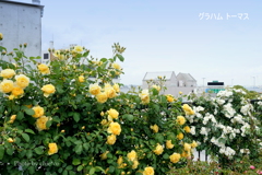 アメリカ山公園-147