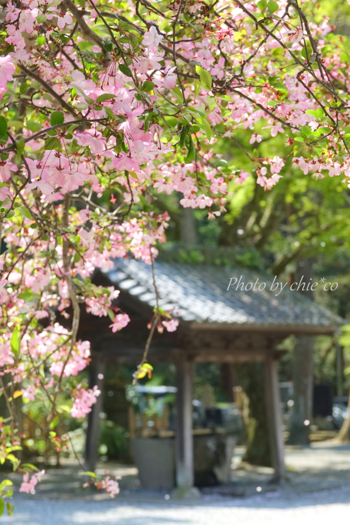 鎌倉-074