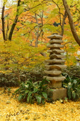 三渓園-305