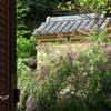 西方寺-213