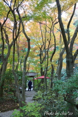 鎌倉　一条恵観山荘-024