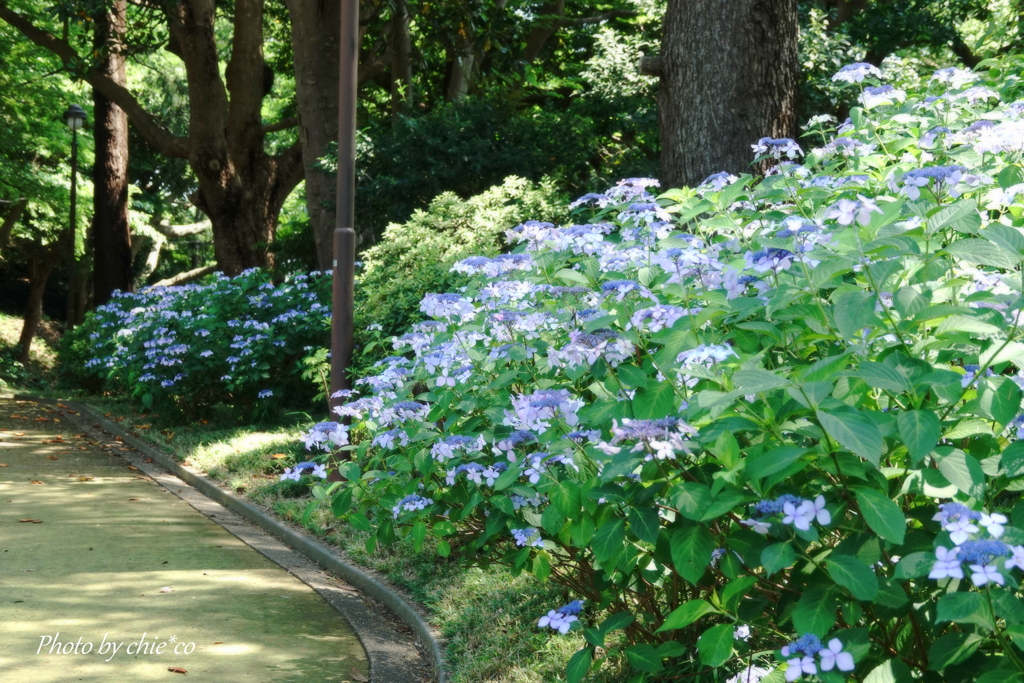 港の見える丘公園-170