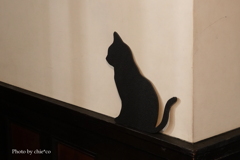 ハロウィン装飾～外交官の家-009