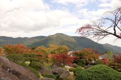 箱根美術館庭園-201