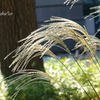 山下公園-127