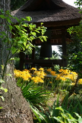 西方寺-237