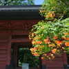 鎌倉-267