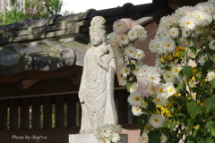鎌倉長谷寺-076