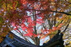 三渓園-402