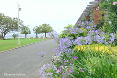山下公園-105