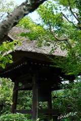 鎌倉-609