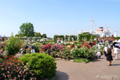 山下公園-103