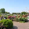 山下公園-103