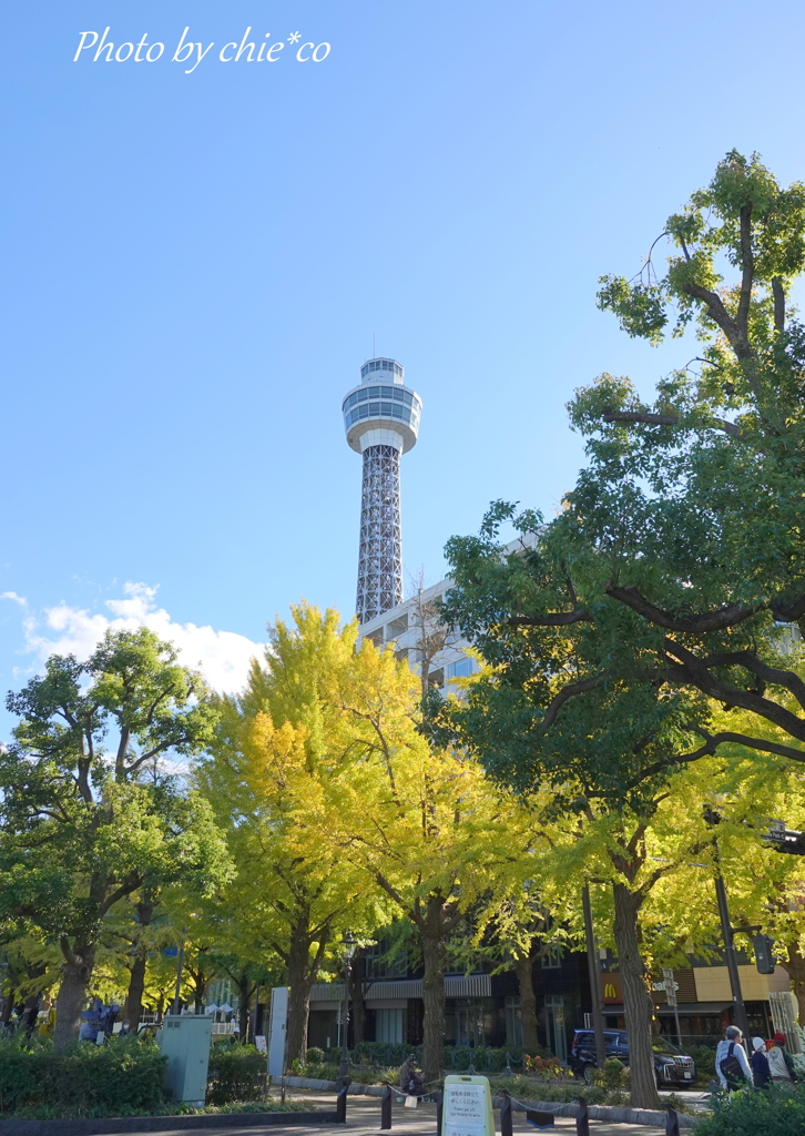 山下公園-121