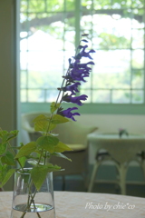 山手イタリア山庭園-179