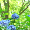 鎌倉-143