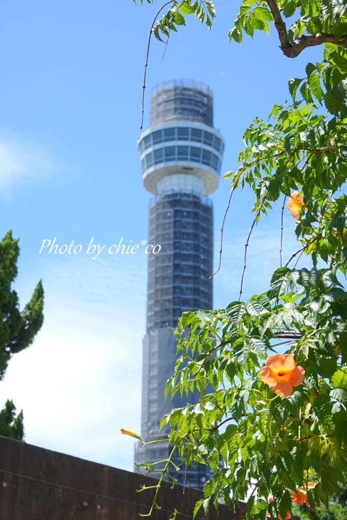 山下公園-172