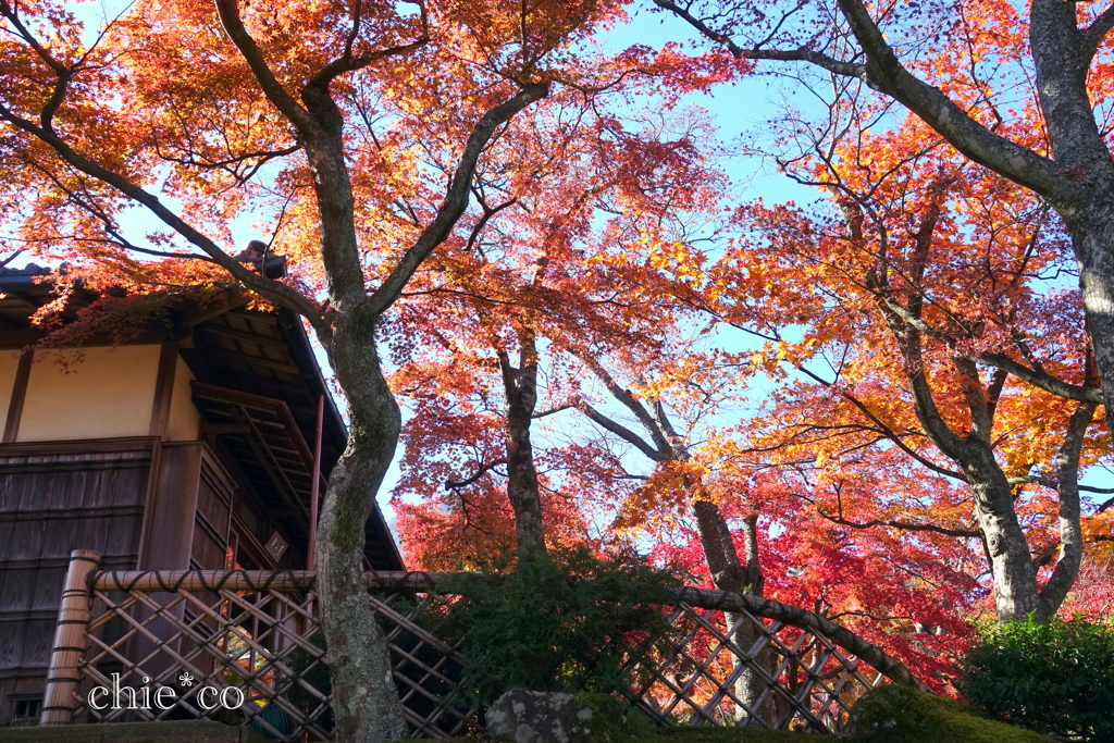 箱根美術館-160