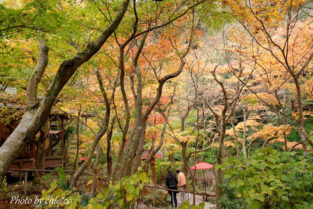 鎌倉一条恵観山荘-212