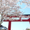 鎌倉-173