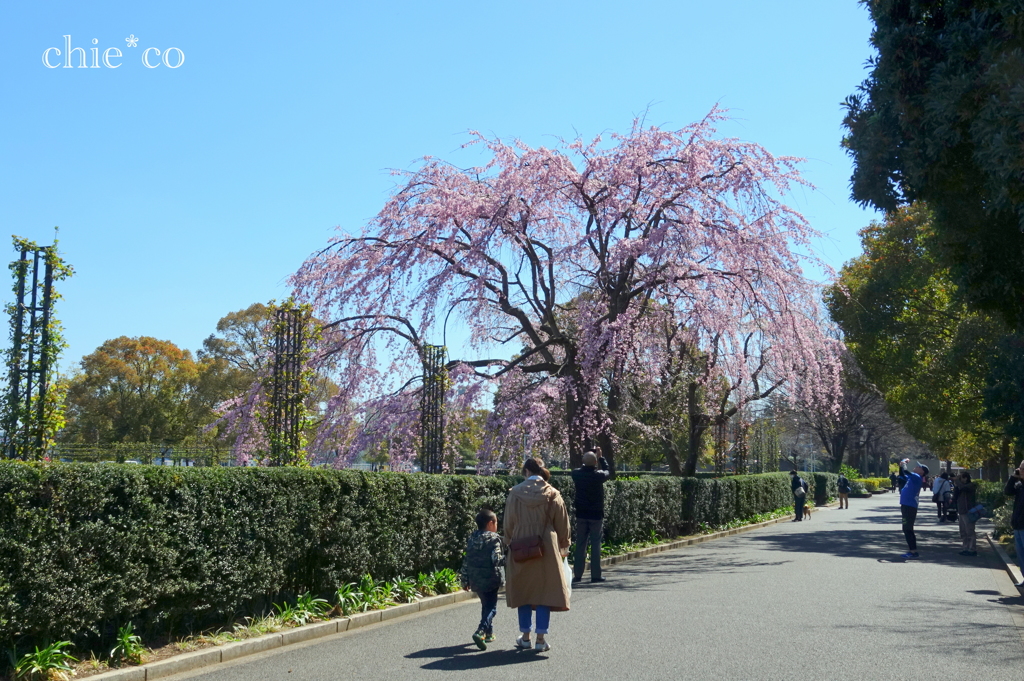 山下公園-162