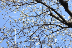 山下公園と・・-210