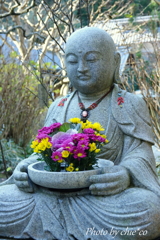 明月院-234