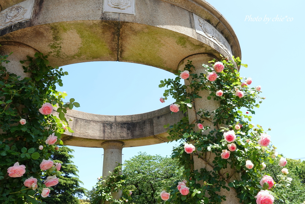 港の見える丘公園-212