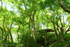 鎌倉-269