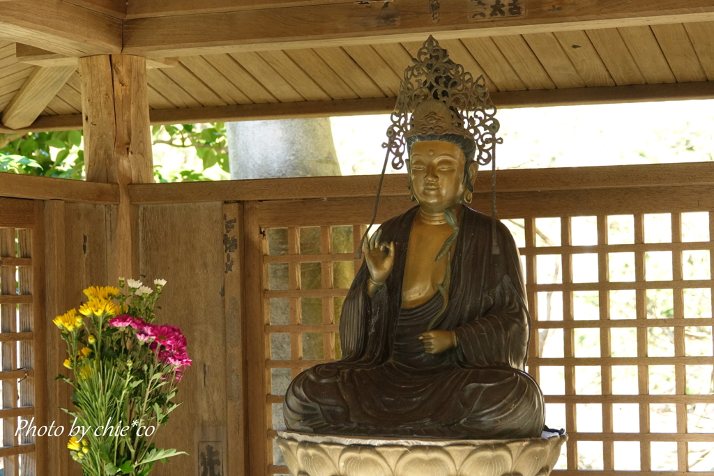 明月院-236