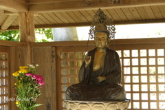 明月院-236