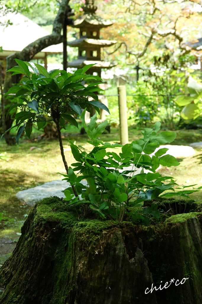 鎌倉-658