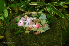 鎌倉-237