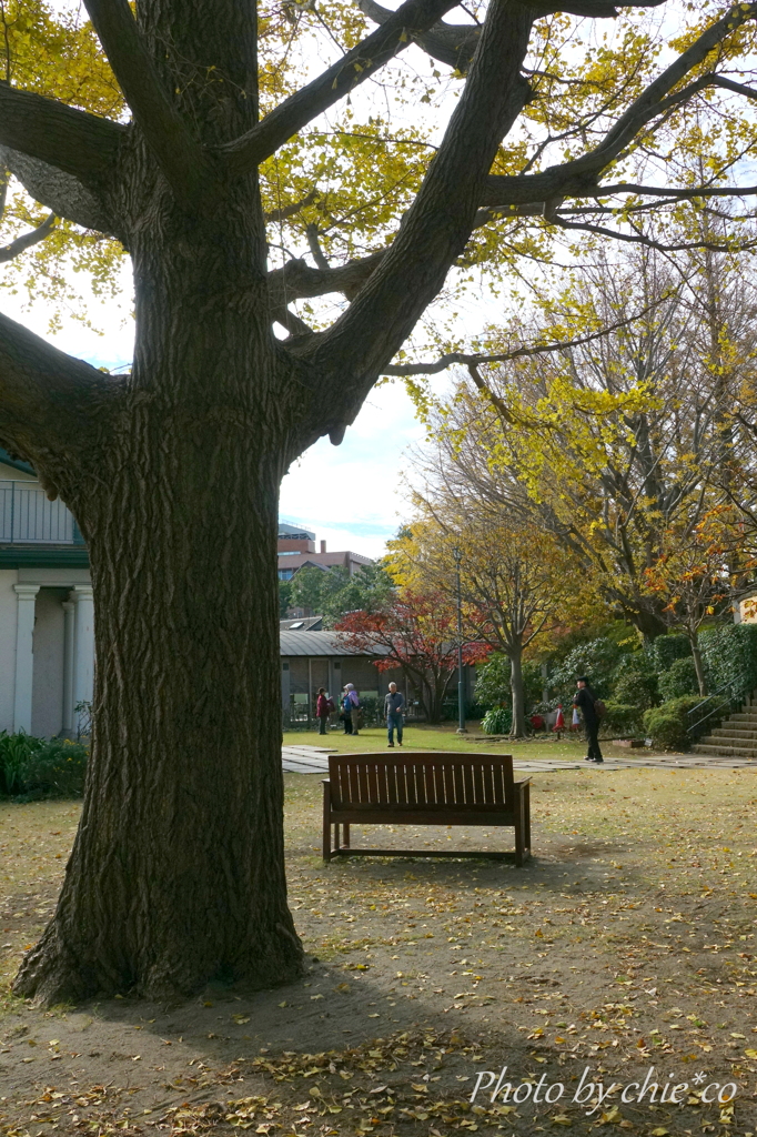 横浜山手西洋館-486