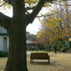 横浜山手西洋館-486