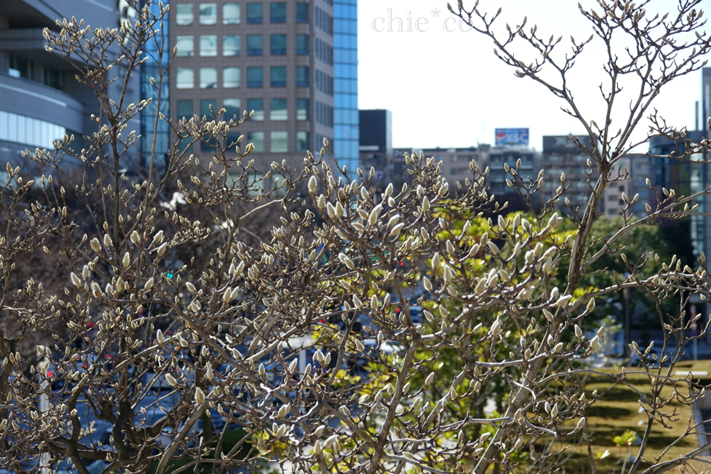 yokohama-080