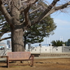 山手イタリア山庭園-135