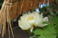 鎌倉-280