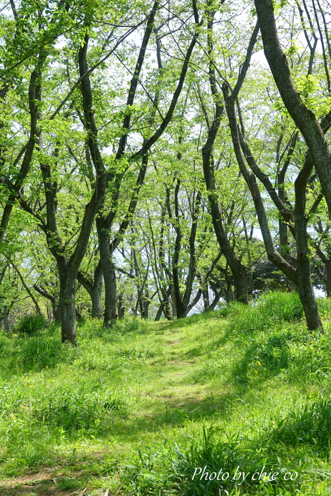 久良岐公園-130