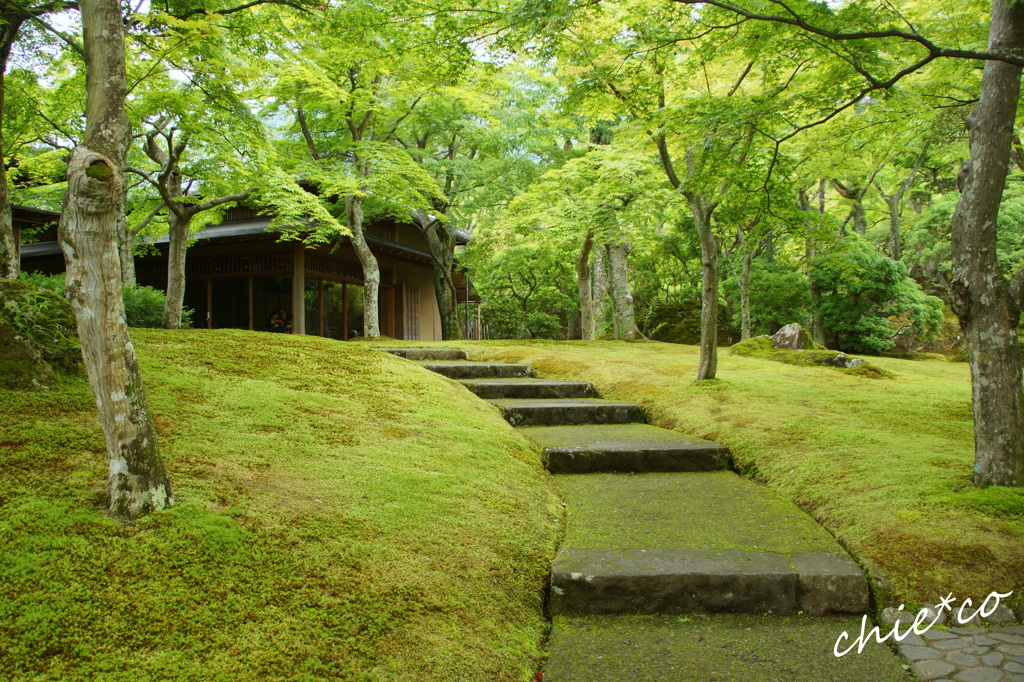 箱根美術館-193