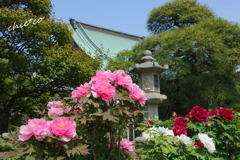 龍華寺 伊藤博文別邸-163