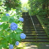 鎌倉-133
