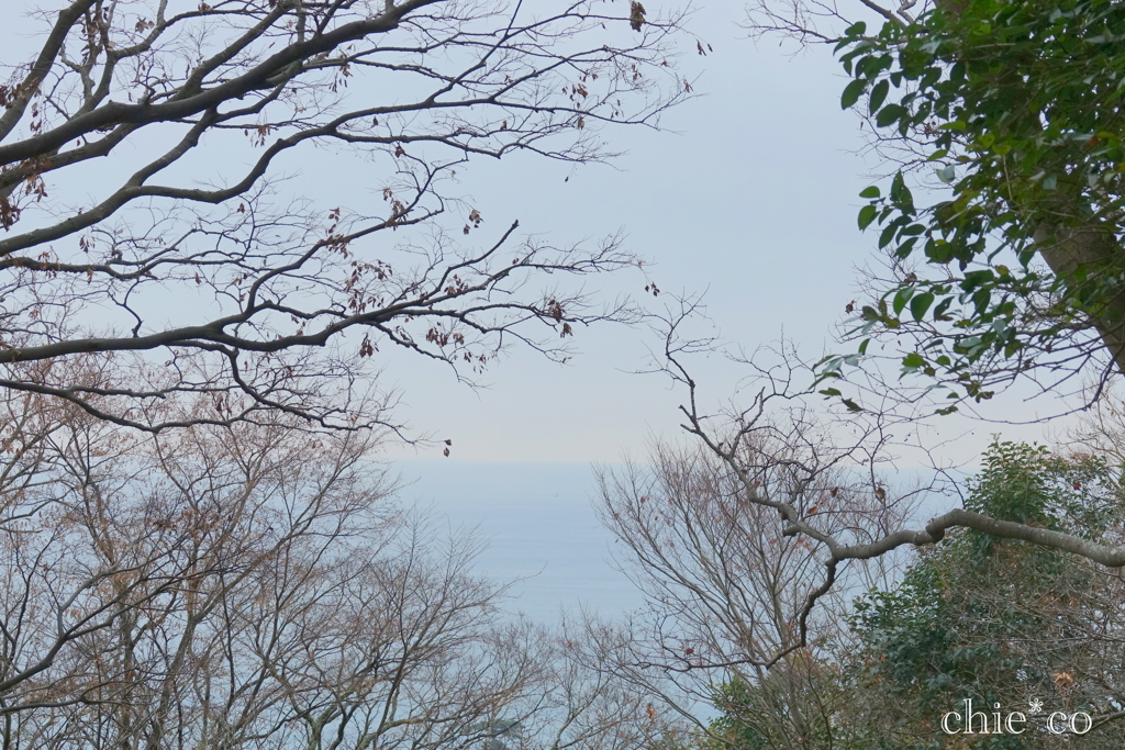 吾妻山公園-218