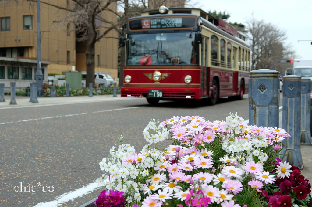 yokohama-121