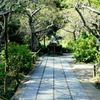 北鎌倉-207