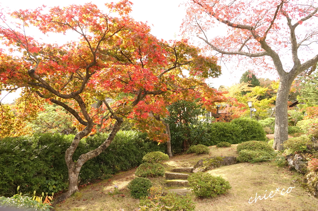 箱根美術館庭園-195