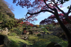 三渓園-419