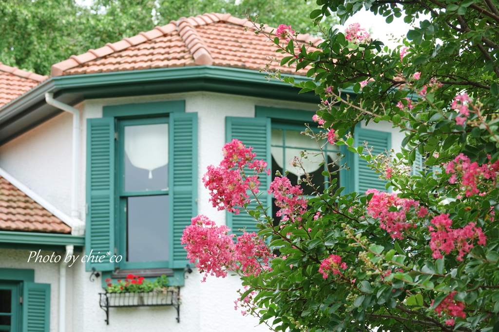 山手イタリア山庭園-140