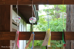 円覚寺-076