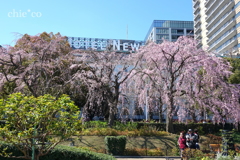 山下公園-152